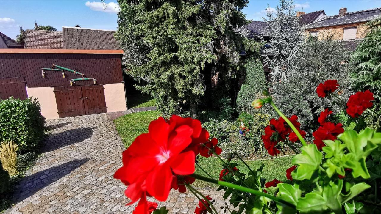 Ferienwohnungen Dirk Laurisch Radensdorf Esterno foto